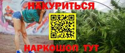 сатива Жуковский